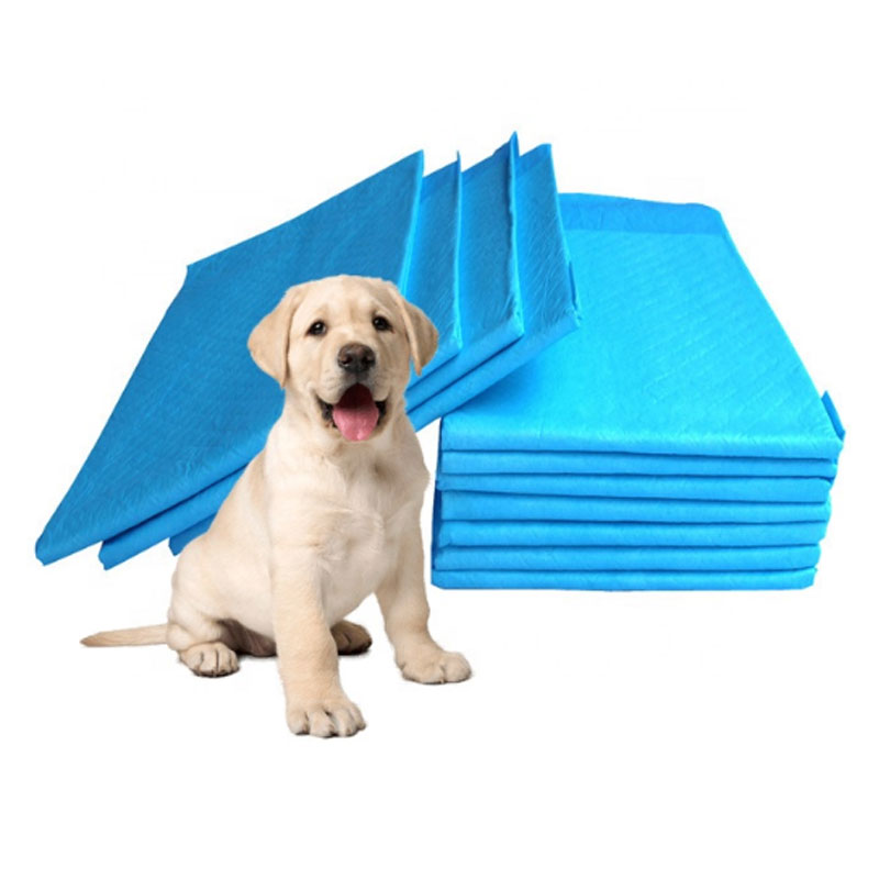 Environmental Dog Pet Training Mat
