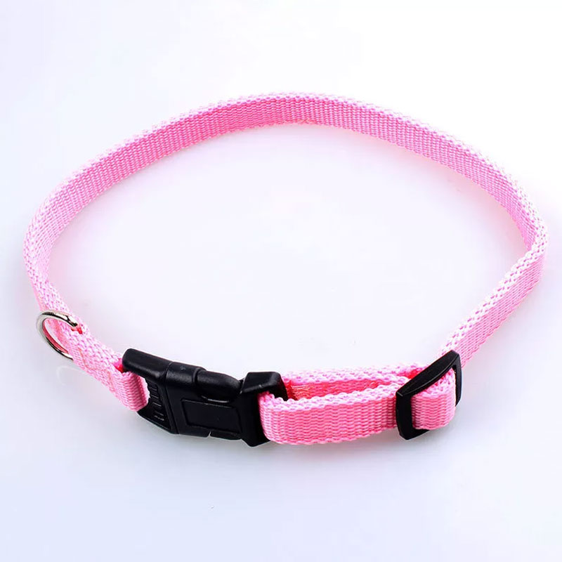 dog collar, collar ,strap , nylon collar strap , pet collar