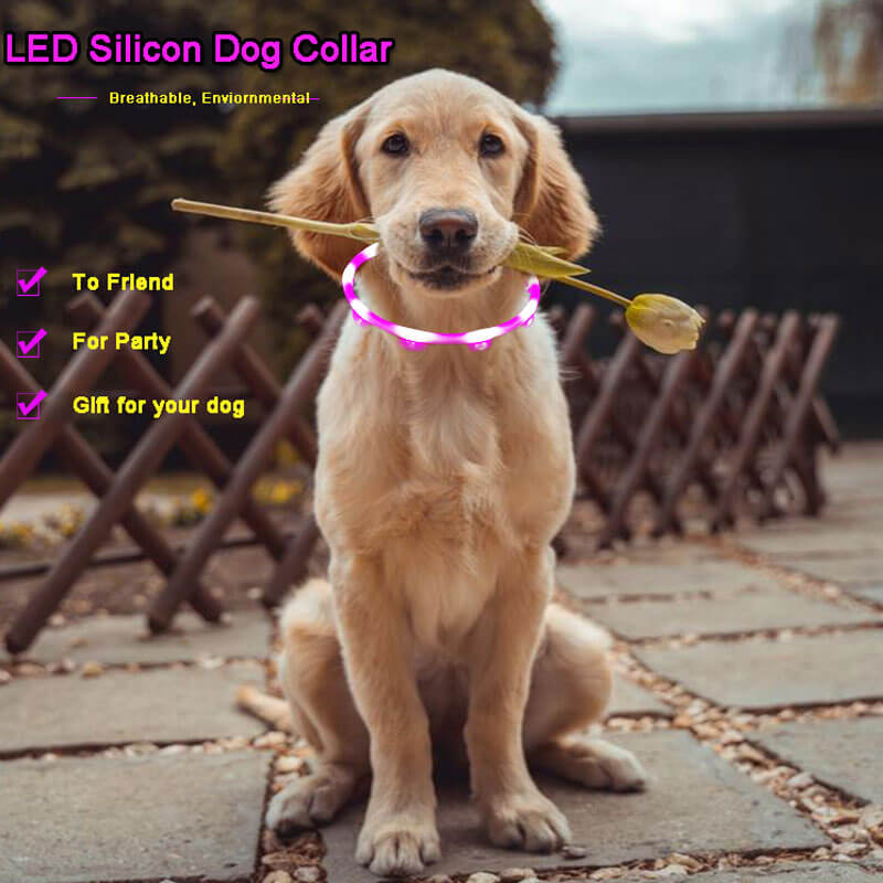 LED dog collar ,LED strap ,LED Rechargable Dog Necklace