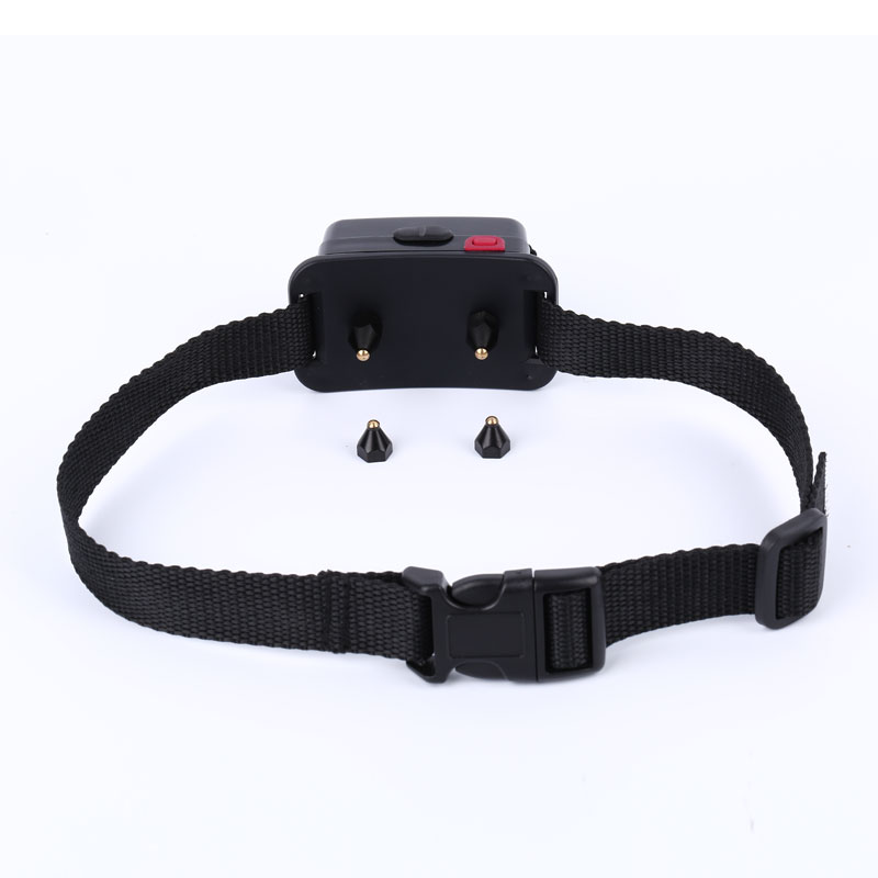 Custom smart dog collar