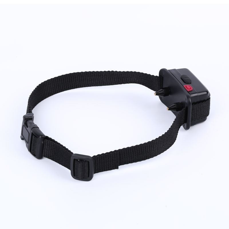 Custom smart dog collar
