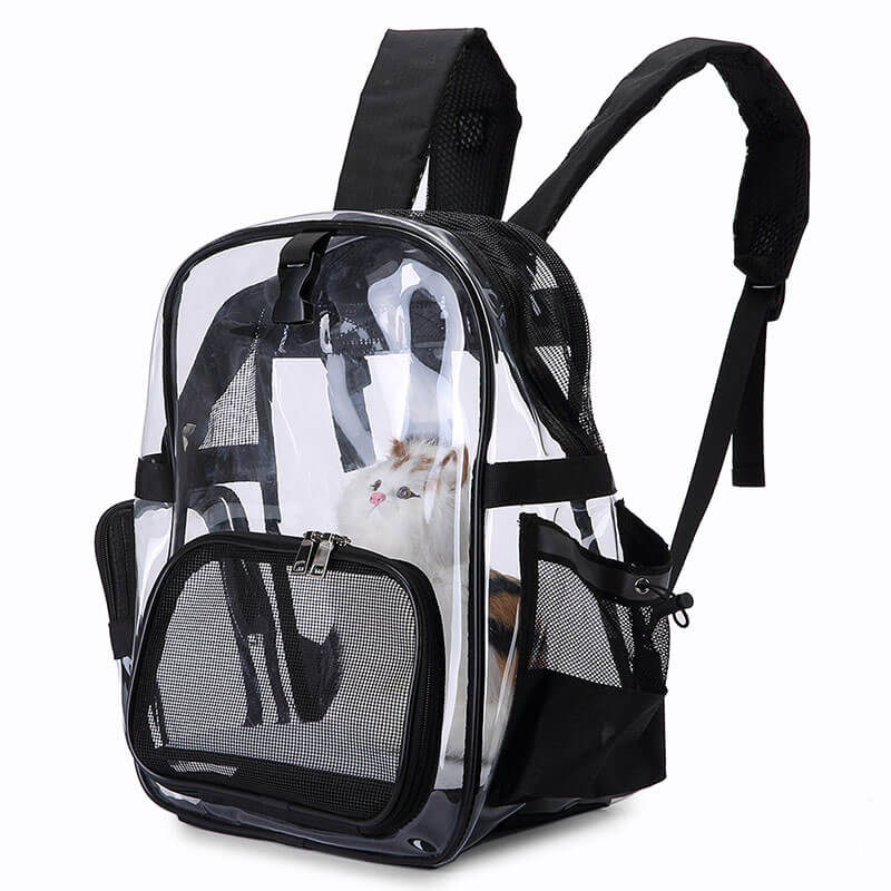 Outdoor transparent backpack